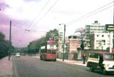 Green Lanes : Reworked by Dave Wilsher